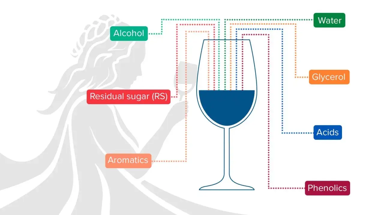 Schema che illustra i componenti del vino: alcol, zuccheri residui, aromatici, acqua, glicerina, acidi e fenoli, con la glicerina che contribuisce alla consistenza.