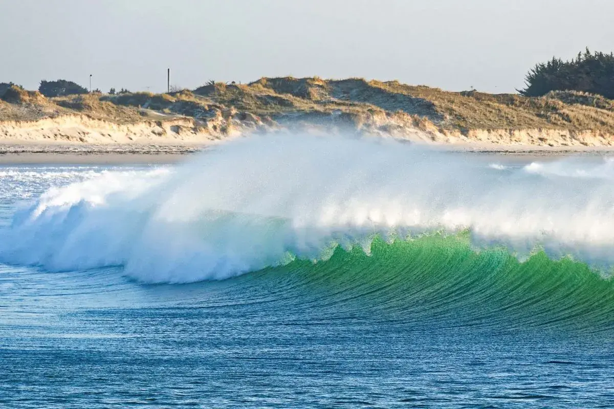 Vague verte et transparente, comme la pointe de la torche, déferlant sur une plage de sable et de dunes.