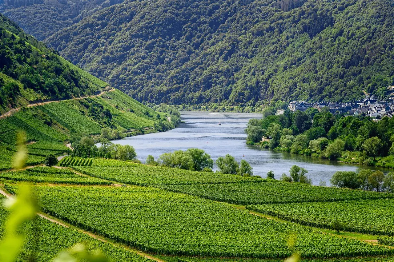 Idyllisches Zelten in Deutschland: Weinberge und Flussufer im Moseltal. Ein perfekter Ort für Naturfreunde.