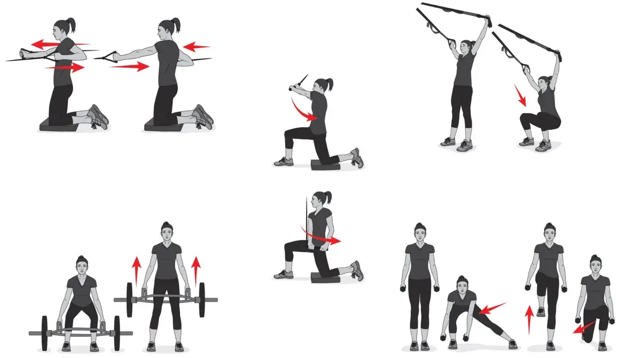 Illustrations of exercises for triathlon strength training programs: resistance band rows, TRX squats, barbell deadlifts, and dumbbell lunges.