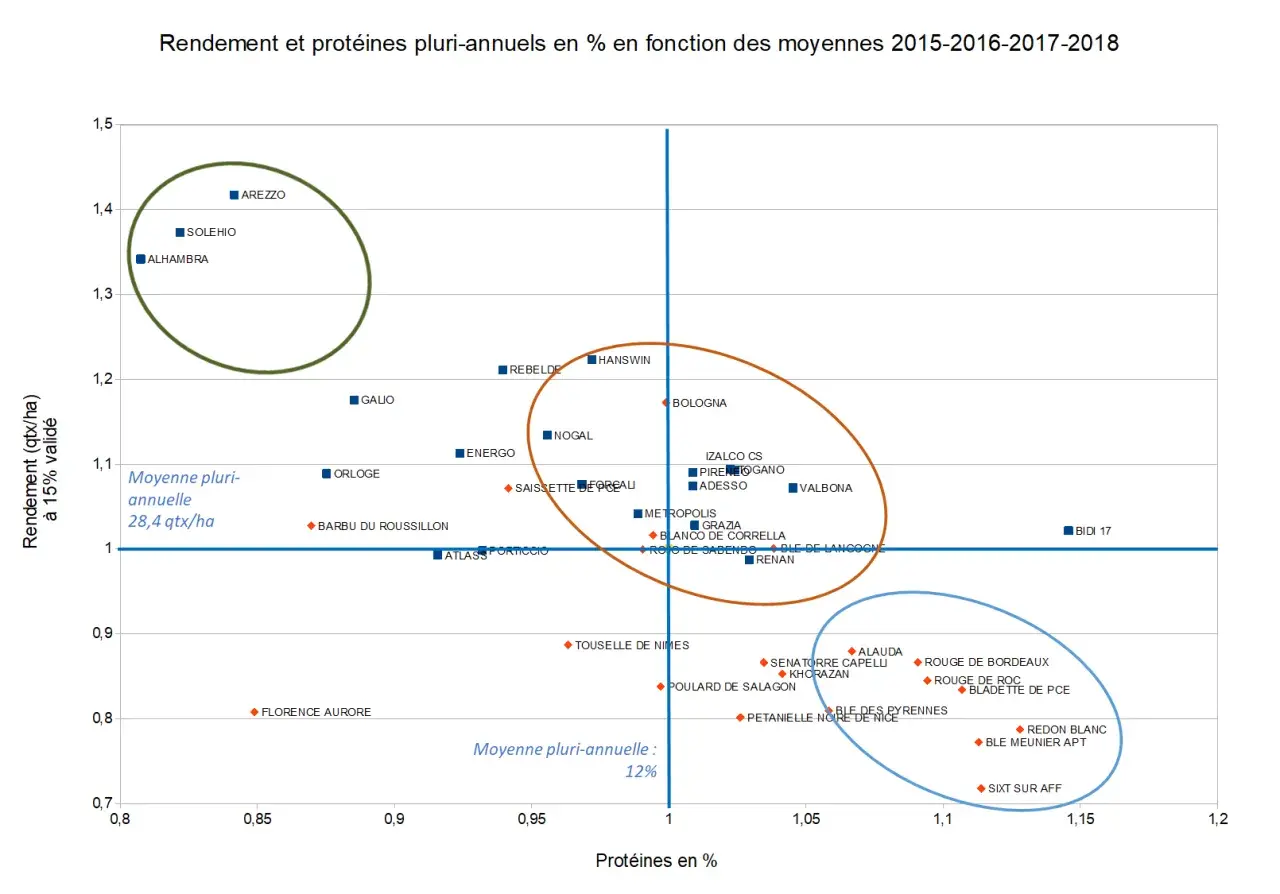 Graphique montrant le rendement et les protéines de blé dur variété. Des points représentent différentes variétés avec leur rendement en qtx/ha et leur teneur en protéines.