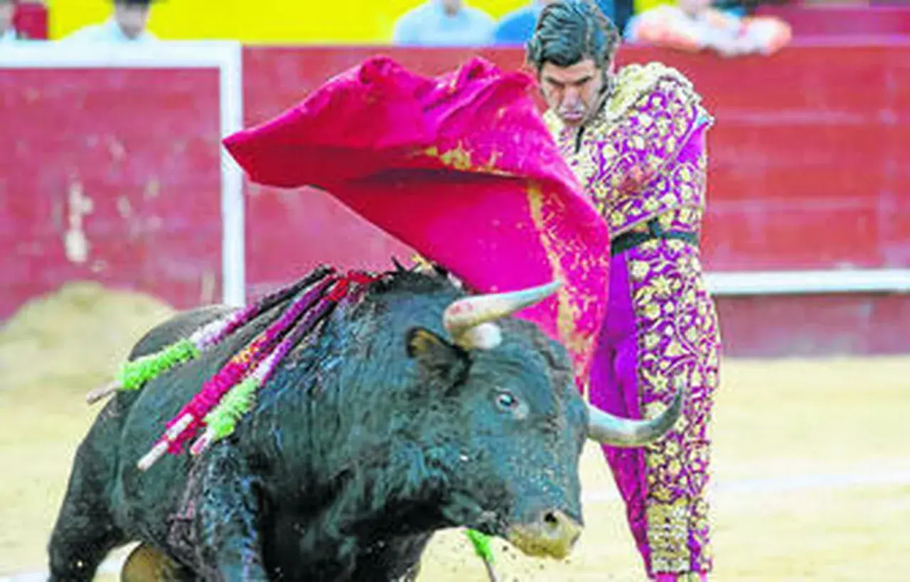 Morante de la Puebla, con su traje de luces, se enfrenta a un toro bravo en la arena.