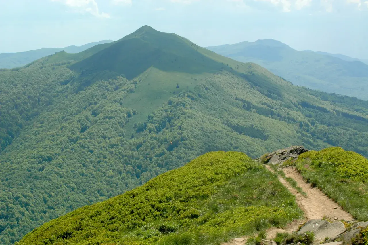 Widok na połoninę caryńską, z zielonymi zboczami gór porośniętymi lasem i ścieżką wijącą się wśród traw.