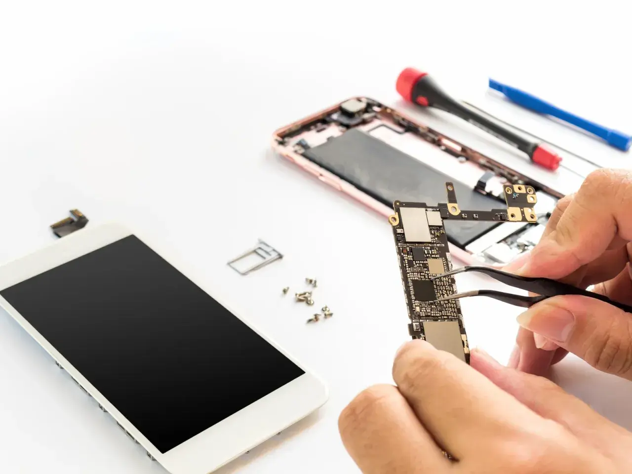Naprawa telefonu: dłonie trzymające płytę główną, obok rozebrany smartfon i narzędzia.