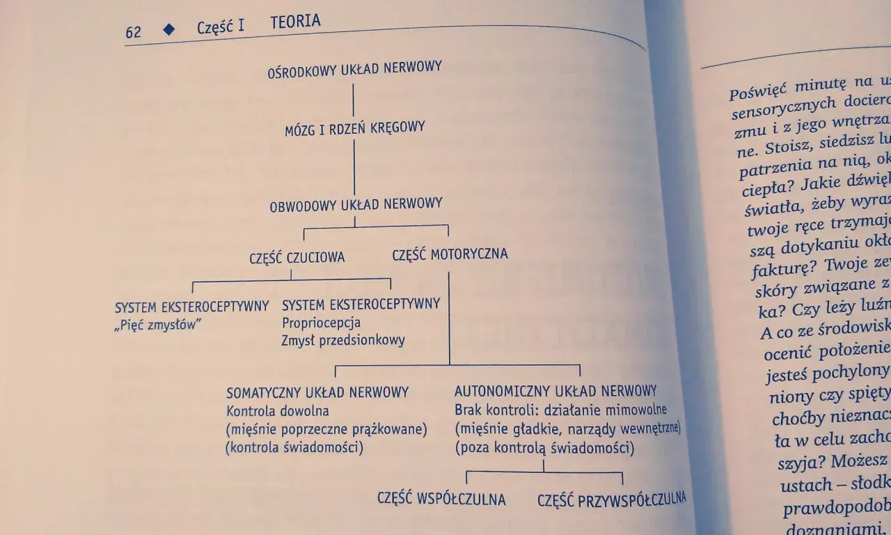 Schemat układu nerwowego: ośrodkowy, obwodowy, czuciowy, motoryczny. Co ci się przydarzyło? Zmysły, propriocepcja, kontrola dowolna i mimowolna.