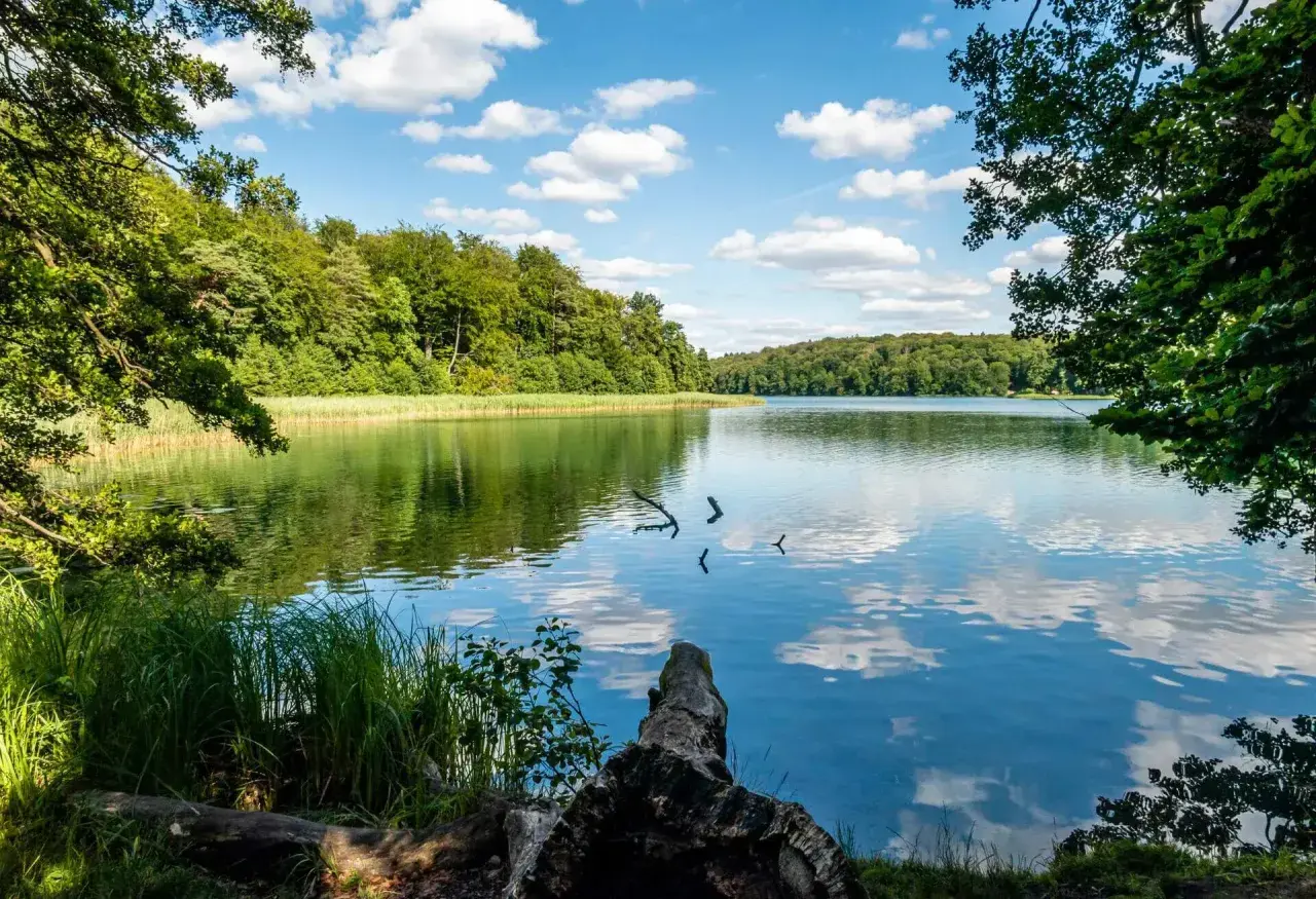 Idyllischer See mit bewaldeten Ufern, ein Ort zum Entspannen, den man in der Nähe von Berlin gesehen haben muss.