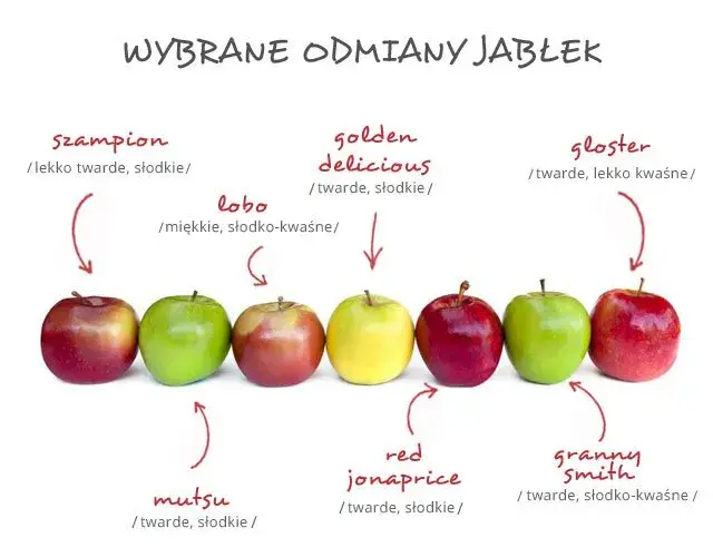 Jakie jabłka do sałatki jarzynowej? Oto najlepsze odmiany, które zachwycą