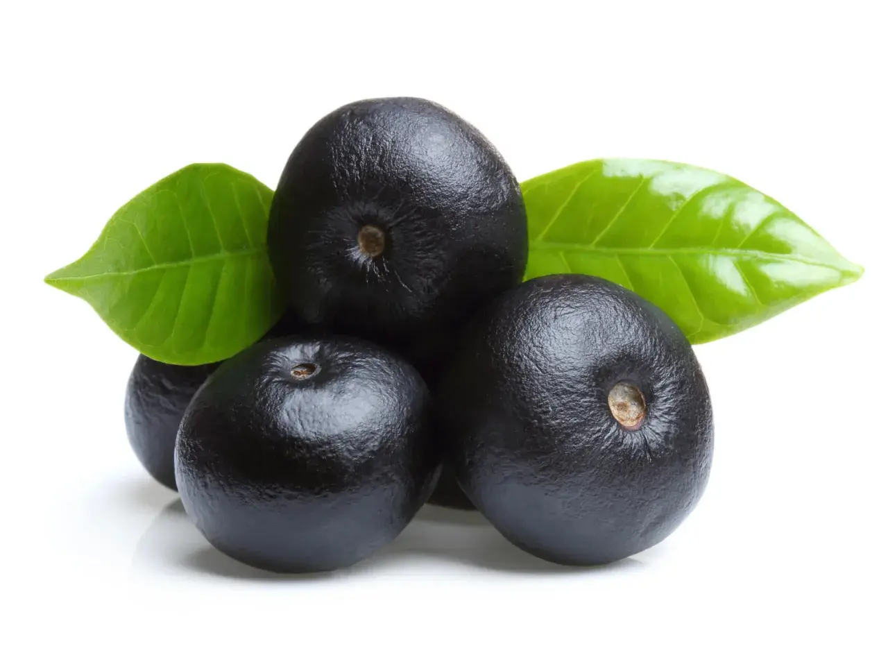 Acai, piccoli frutti viola scuro con foglie verdi, noti per le loro eccezionali proprietà benefiche.