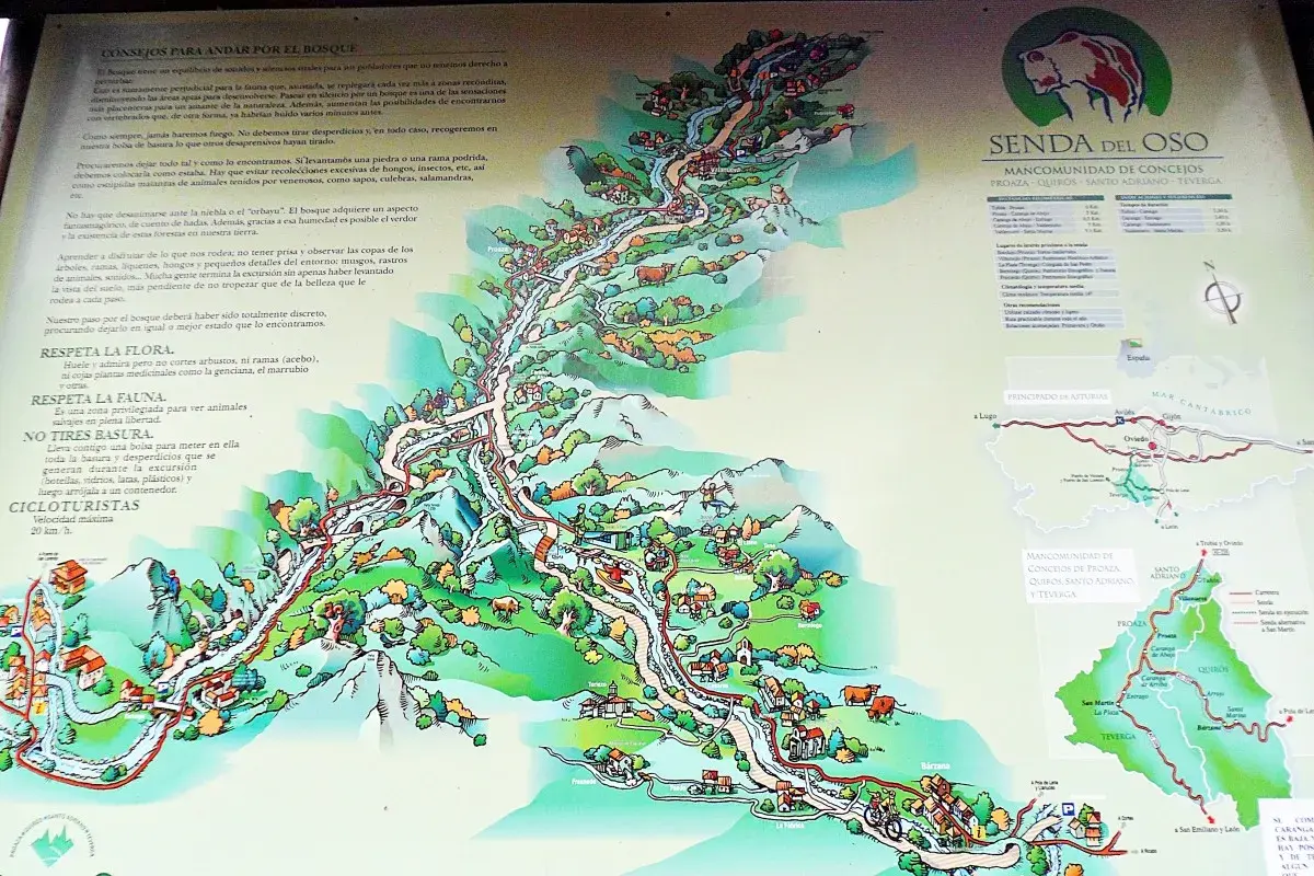 Mapa ilustrado de la Senda del Oso, con consejos para disfrutar del bosque y la fauna.