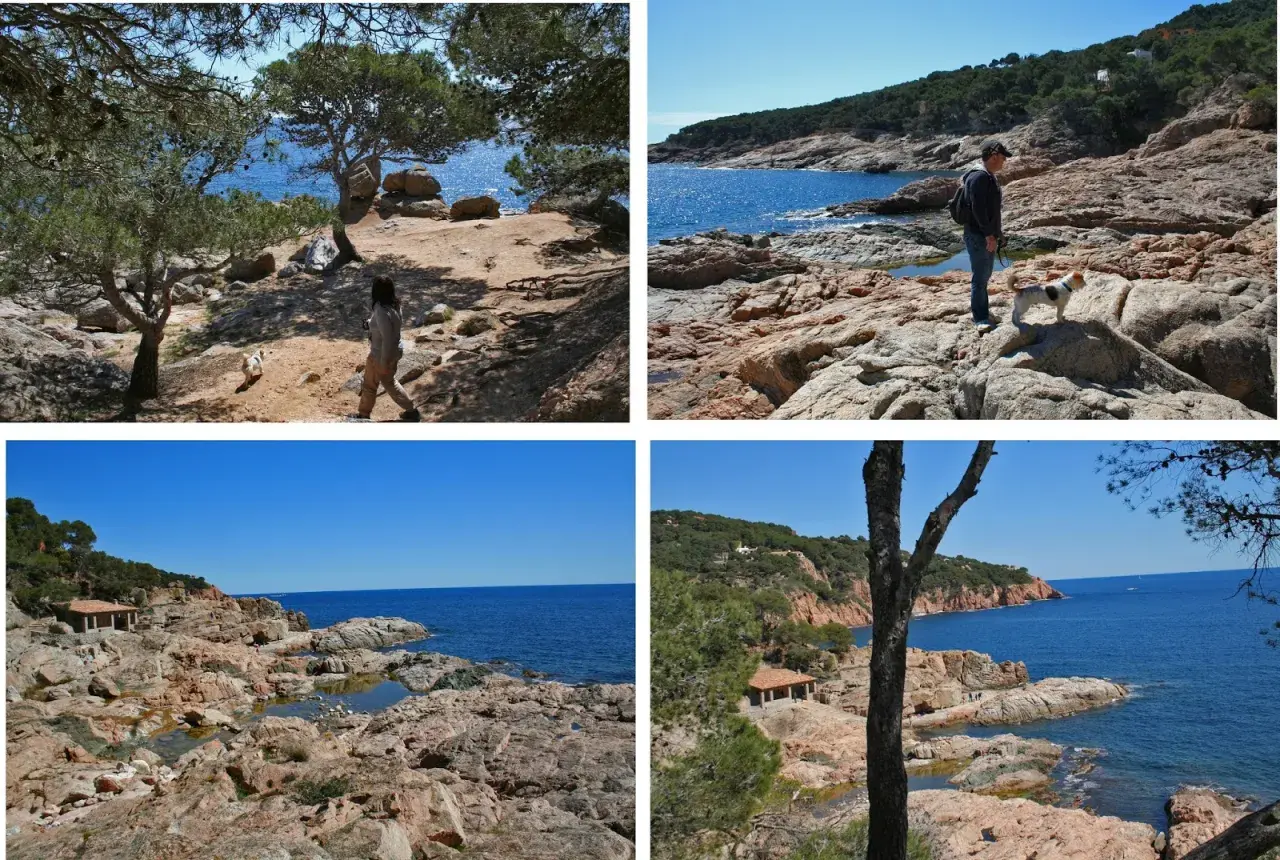 Disfrutando del camí de ronda en Tamariu, con vistas al mar azul y la costa rocosa. Un paseo con perro por senderos naturales.