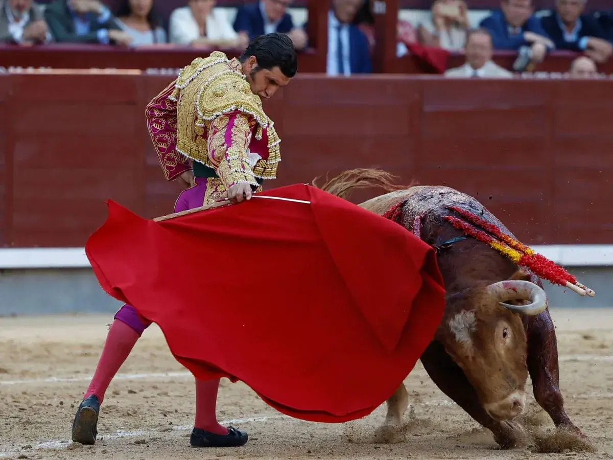 Torero con traje de luces, capa roja y un toro herido con banderillas, preparándose para el descabello.