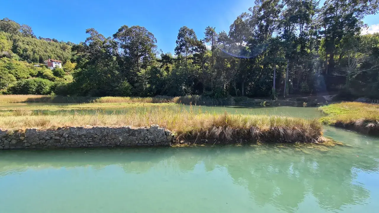 Paisaje sereno con aguas turquesas y vegetación exuberante, ideal para explorar las **rutas lekeitio**.