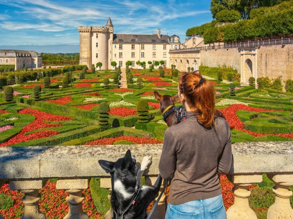 Femme et deux chiens admirant un château et un jardin à la française coloré.