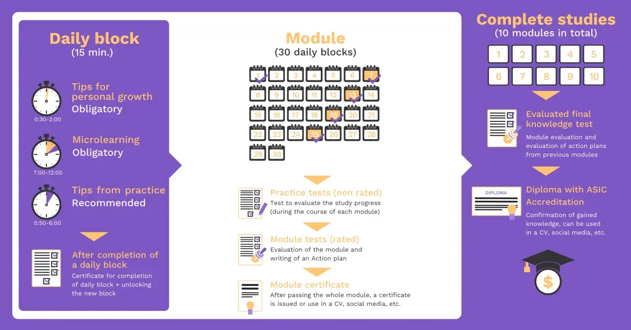 Infographic detailing the structure of an online MPA program, including daily blocks, modules, tests, and final accreditation.