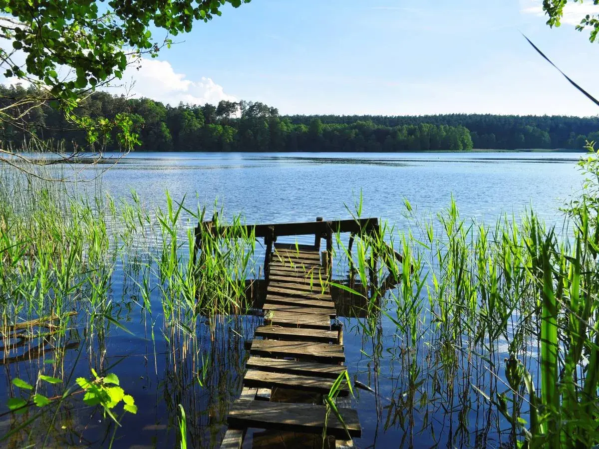 Drewniany pomost na spokojnym jeziorze głuszyńskim, otoczony trzcinami. W tle las i błękitne niebo.