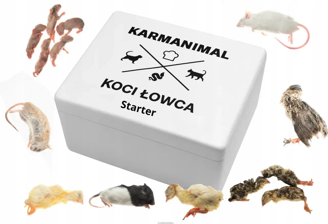 Karmianimal Koci Łowca Starter: zestaw whole prey z myszami, pisklętami i przepiórkami.