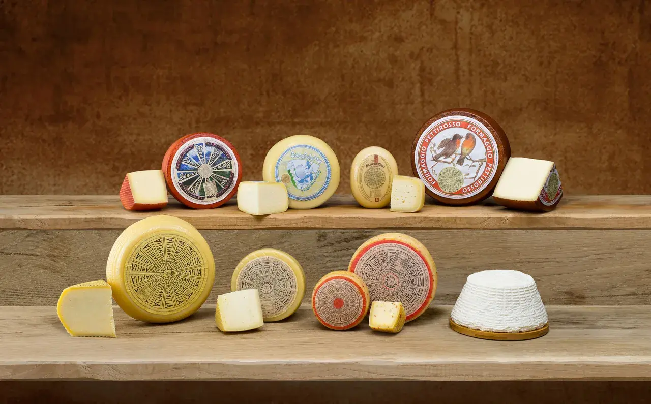 Varietà di formaggi italiani, da quelli stagionati a quelli freschi, un'esplosione di sapori per scoprire cos'è il formaggio.