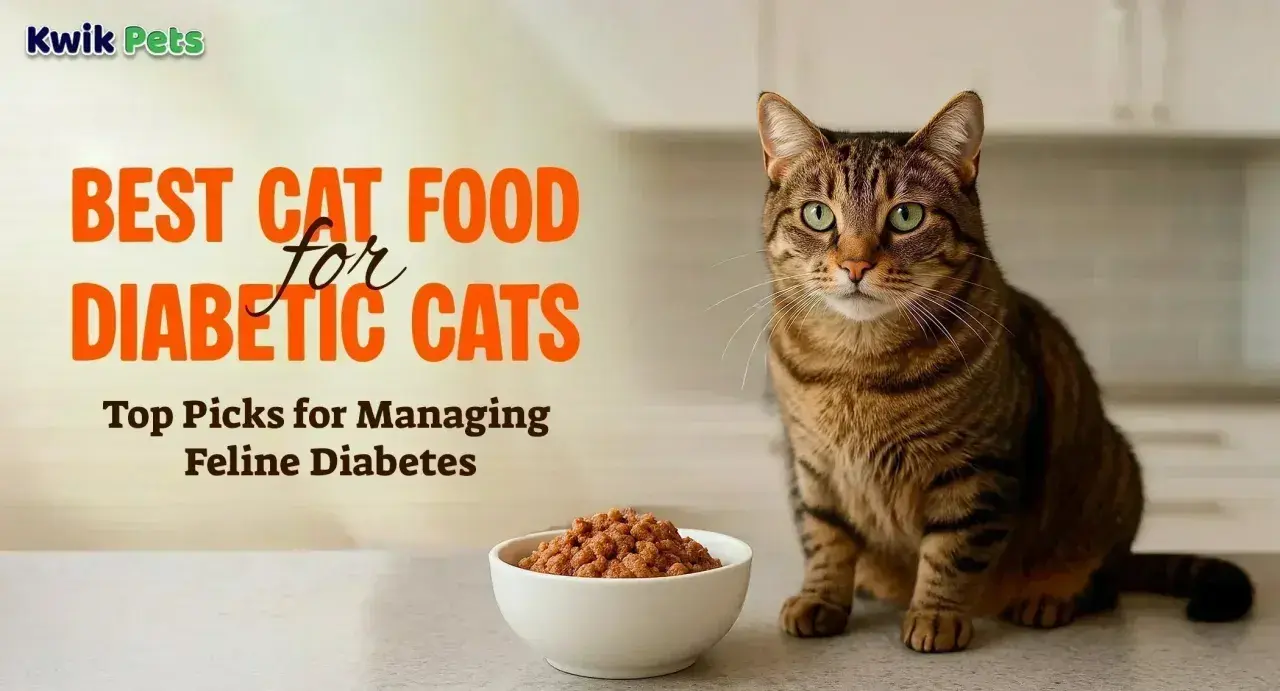 A tabby cat sits beside a bowl of kibble, with text reading "BEST CAT FOOD for DIABETIC CATS" and "Top Picks for Managing Feline Diabetes.