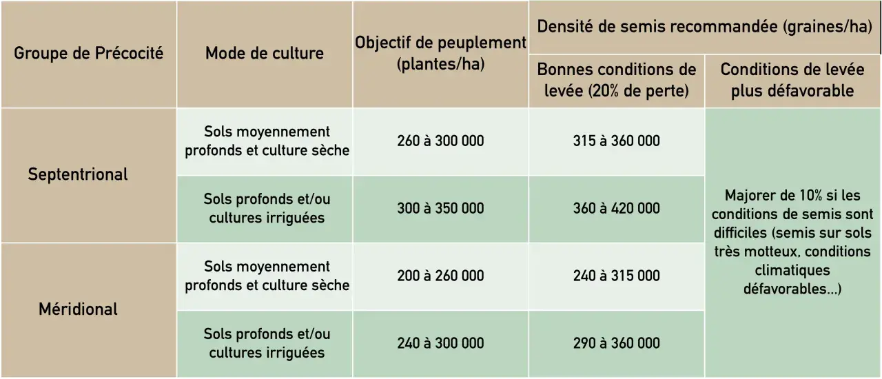 Tableau comparant la densité de semis de sorgho selon le groupe de précocité, le mode de culture et les conditions de levée.