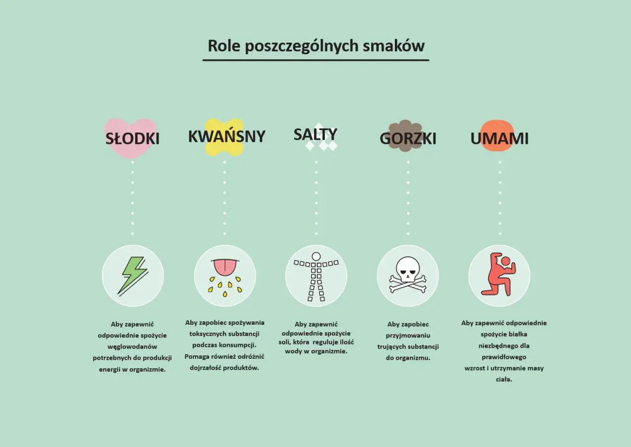 Ilustracja przedstawia role pięciu smaków: słodkiego, kwaśnego, słonego, gorzkiego i umami, z ikonami i opisami.