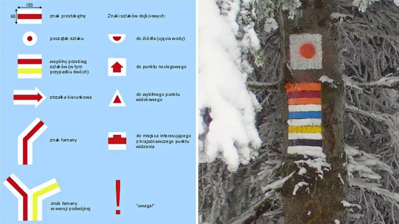 Kolorowe oznaczenia szlaków górskich na drzewie w zimowej scenerii. Obok schemat znaków szlaków.