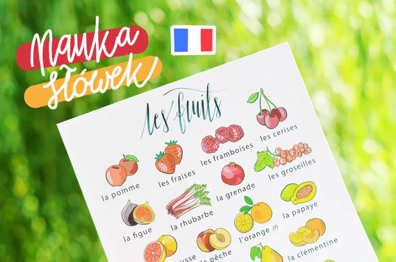 Nauka słówek po francusku: ilustrowana karta z owocami, m.in. jabłka, truskawki, maliny, wiśnie, granat, agrest, figi, rabarbar, pomarańcze, papaja, brzoskwinie, mandarynki.