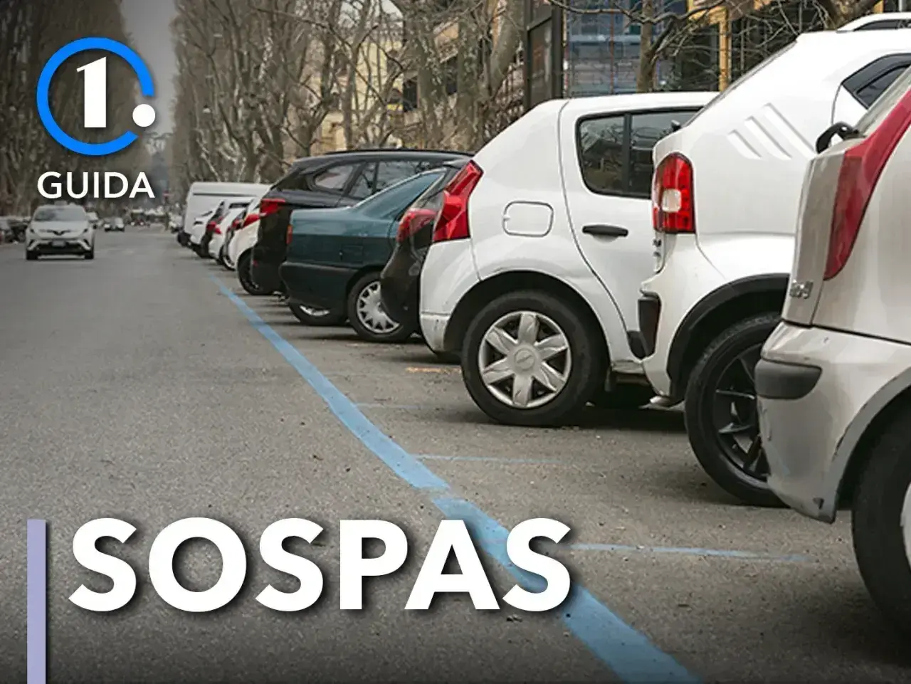Parcheggio metro Rebibbia: auto in fila lungo la strada con striscia blu. SOSPAS.