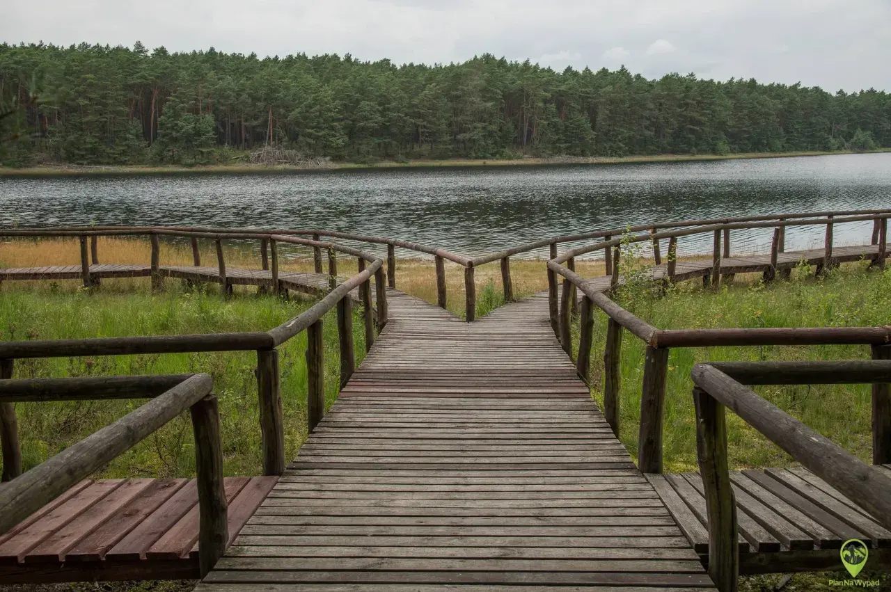 Drewniana kładka rozwidla się przy jeziorze, zapraszając do odkrywania atrakcji Borów Tucholskich.