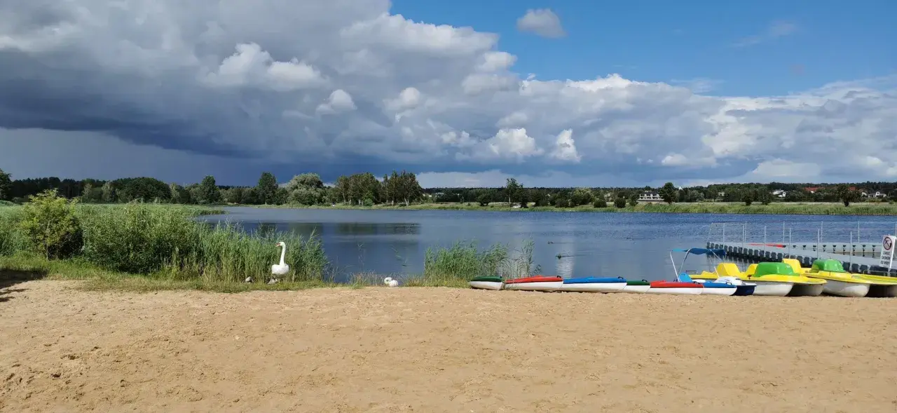 Plaża z łabędziami i kolorowymi rowerami wodnymi nad jeziorem w Grabicy.