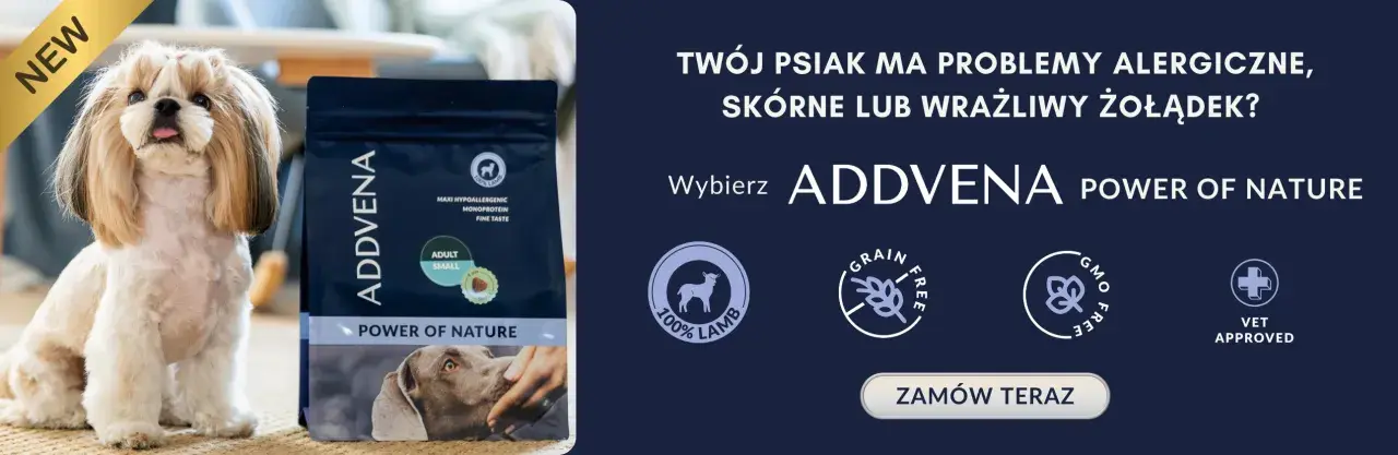 Maltańczyk siedzi obok paczki karmy ADDVENA Power of Nature.