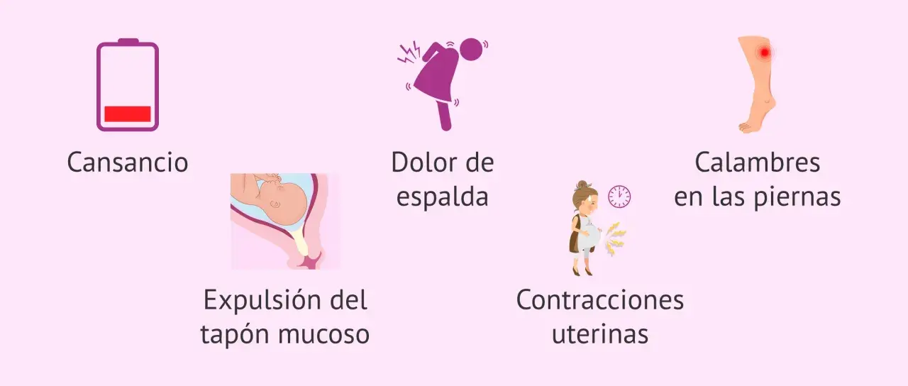 Cansancio, dolor de espalda, calambres, contracciones y expulsión del tapón mucoso. ¡Se acerca el momento!