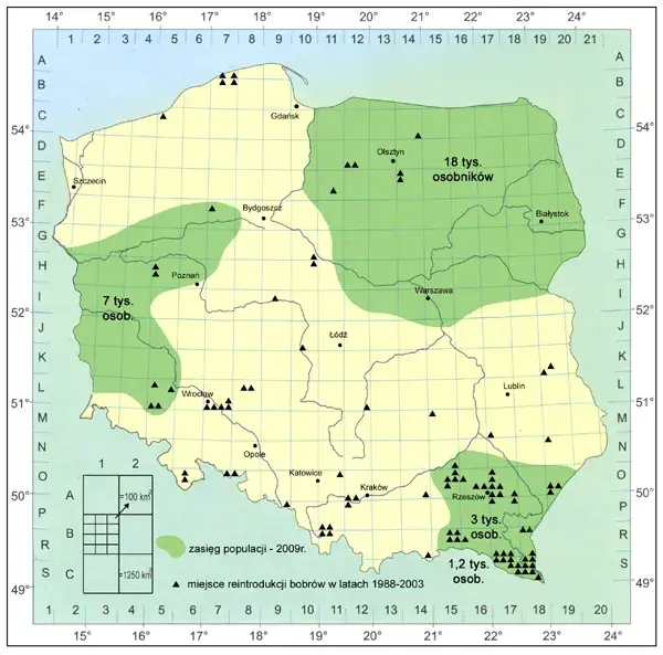 Gdzie leżą Suwałki? Odkryj ich wyjątkowe położenie w Polsce