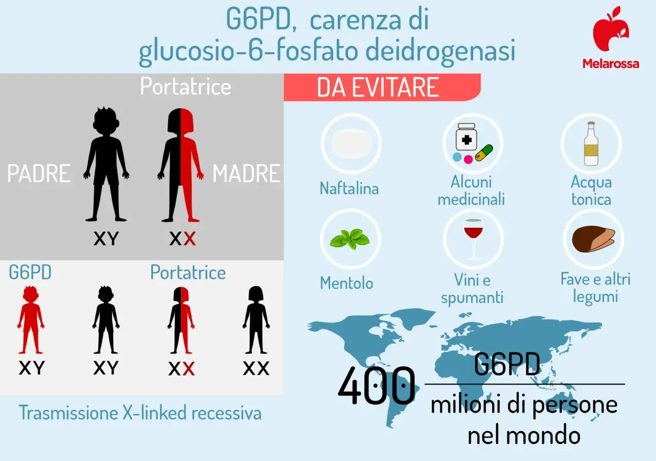 Il favismo, o carenza di G6PD, è una condizione genetica. L'infografica mostra cosa evitare: naftalina, alcuni medicinali, acqua tonica, mentolo, vini e fave.