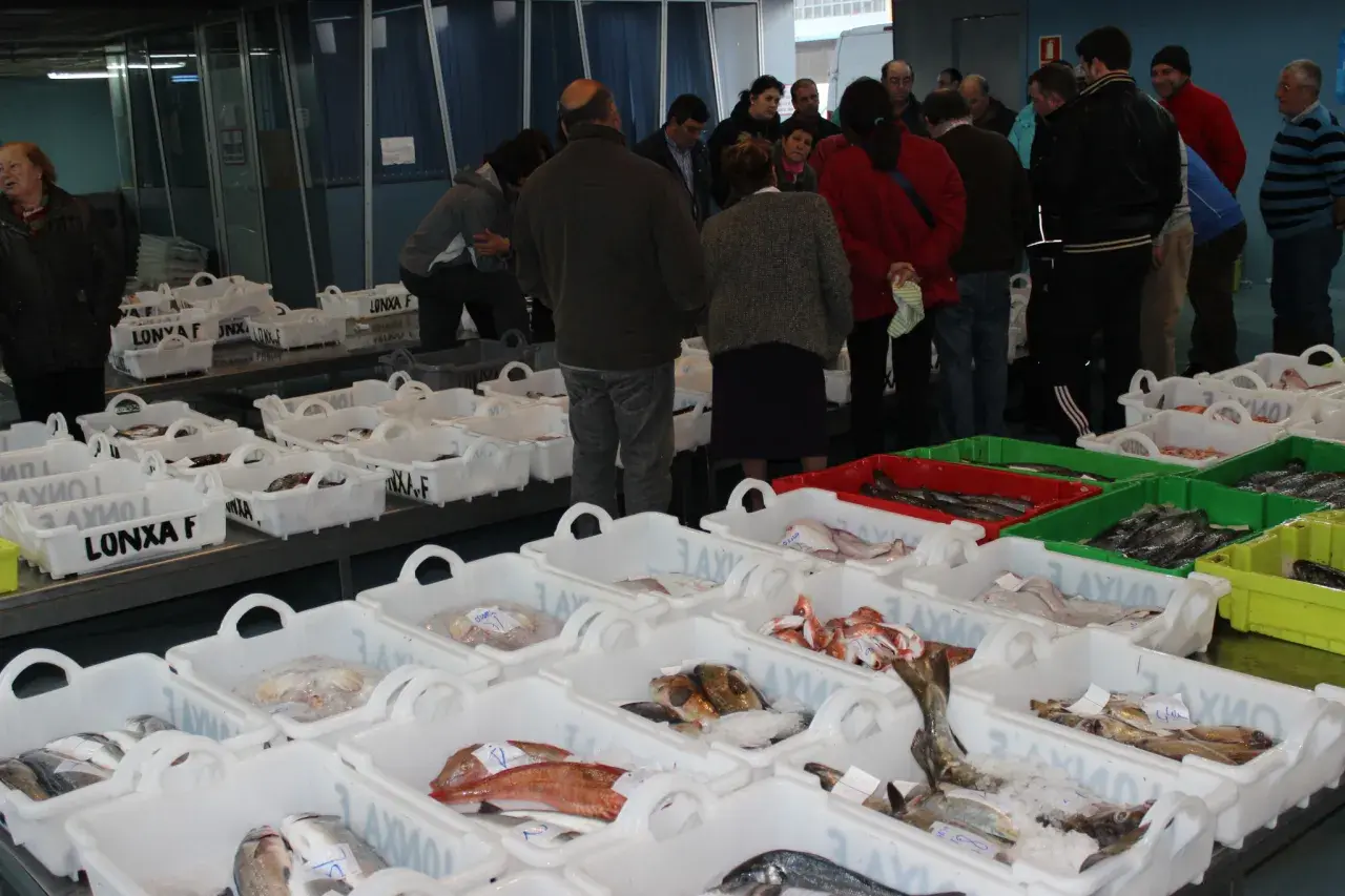 Mercado de pescado con lonja de Finisterre. Cajas blancas llenas de pescado fresco, algunas con etiquetas.