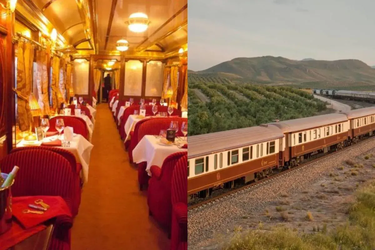 Interior lujoso de un vagón restaurante y un tren panorámico atravesando un paisaje de olivos, evocando un viaje de ensueño como el tren San Fernando Madrid.