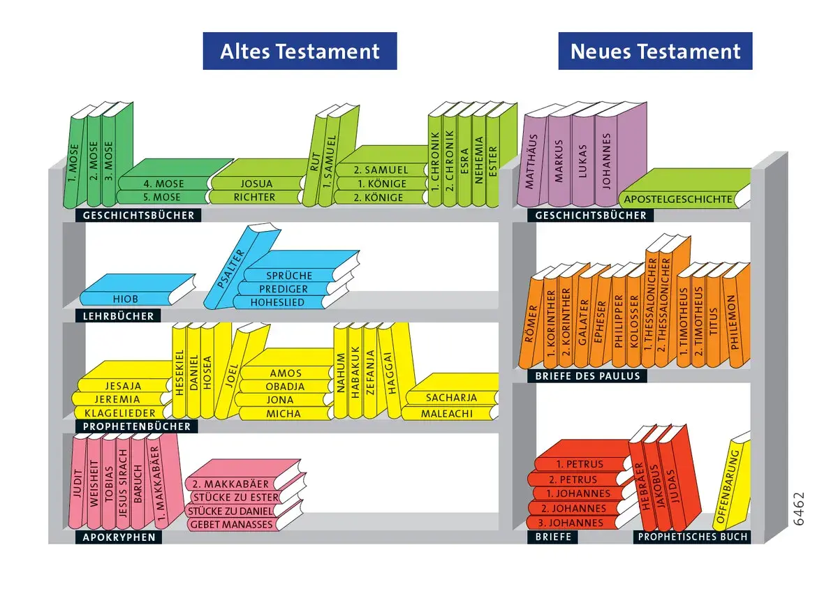Bücherregal mit Büchern, die den Inhalt des Neuen Testaments darstellen, sortiert nach Gattungen wie Geschichtsbücher, Briefe des Paulus und prophetische Bücher.