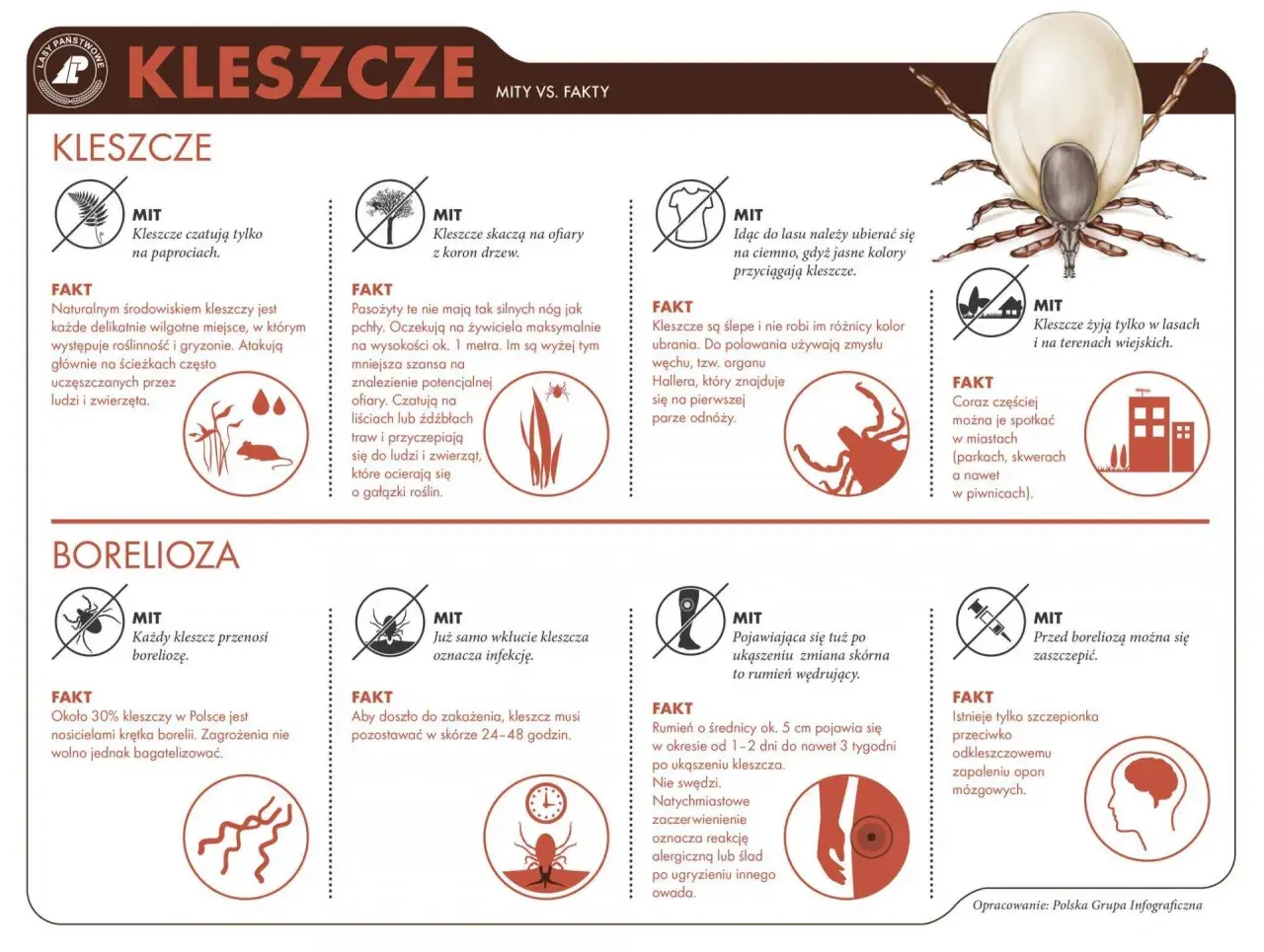 Kleszcze atakują z traw i krzewów, nie skaczą z drzew. Unikaj jasnych ubrań, bo przyciągają kleszcze. Co zabija kleszcze? Nie ma prostego sposobu, ale odpowiednie ubranie i szybkie usunięcie po ukąszeniu minimalizuje ryzyko.