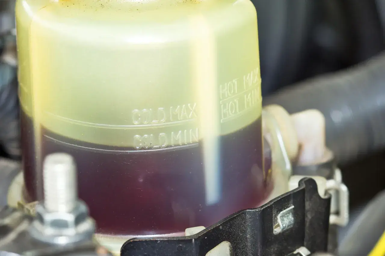 Serbatoio liquido servosterzo con indicazioni min/max. Livello basso o fluido vecchio possono causare sterzo duro.