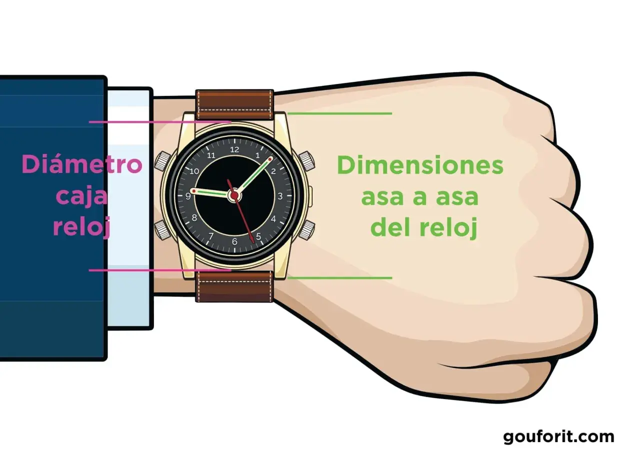 Ilustración muestra cómo se mide la caja de un reloj, indicando el diámetro y las dimensiones de asa a asa.