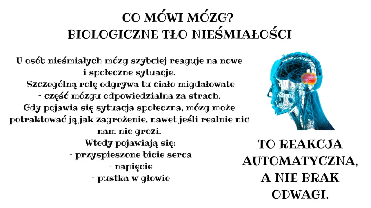 Mózg nieśmiałych reaguje szybciej na nowe sytuacje. Ciało migdałowate, odpowiedzialne za strach, może potraktować je jak zagrożenie. To reakcja automatyczna, nie brak odwagi.
