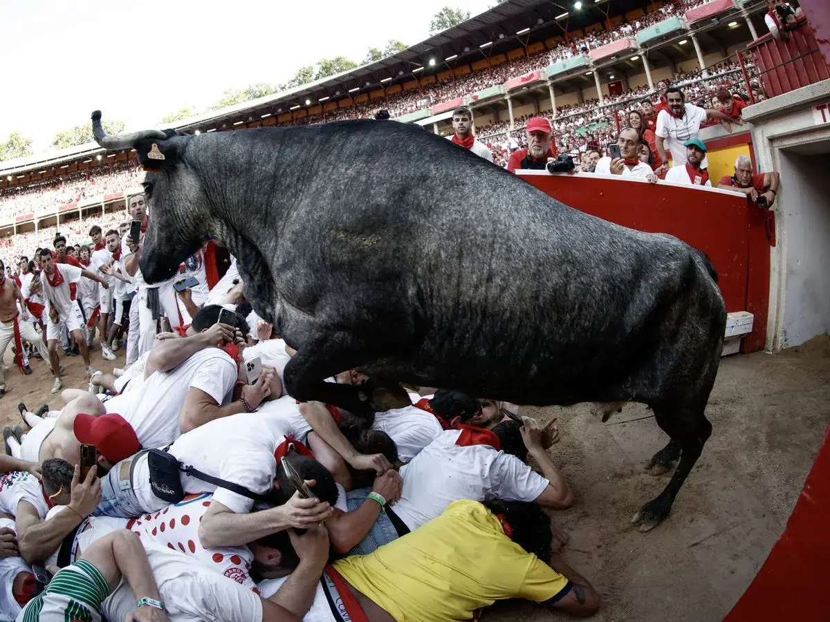 Un toro gris salta sobre un montón de gente en los chiqueros de la plaza de toros.