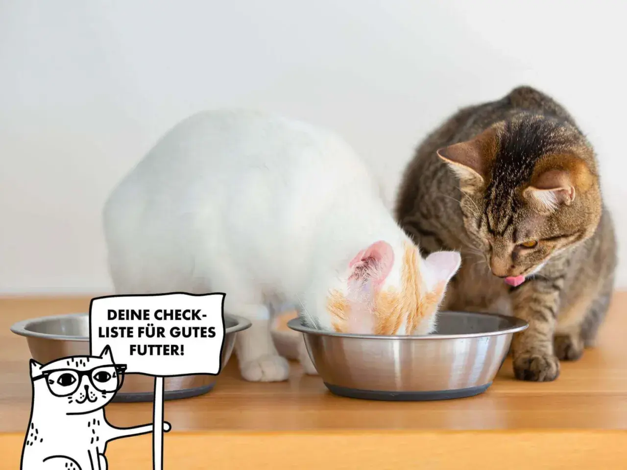Zwei Katzen fressen aus Näpfen. Eine weiße Katze mit orangefarbenen Flecken und eine getigerte Katze. Ein Cartoon-Kätzchen mit Brille hält ein Schild: "Deine Checkliste für gutes Futter!".