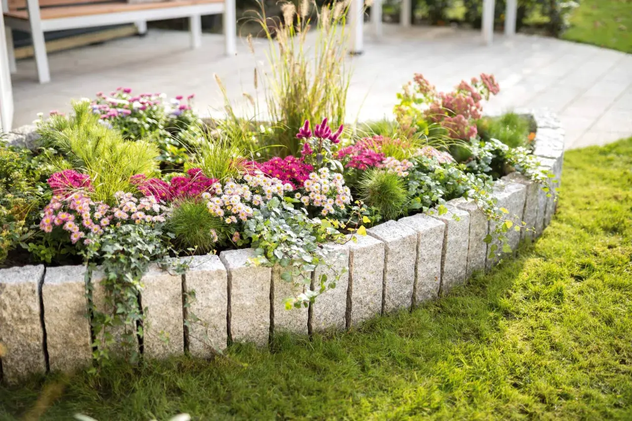 Ein Blumenbeet mit typischen Gartenpflanzen wie Astern und Gräsern, umrahmt von Granitsteinen. Efeu rankt über die Steine.