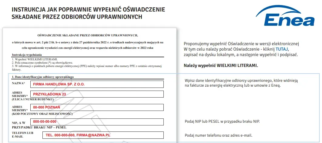 Jak wypełnić oświadczenie o zamrożeniu cen energii: 8 kroków