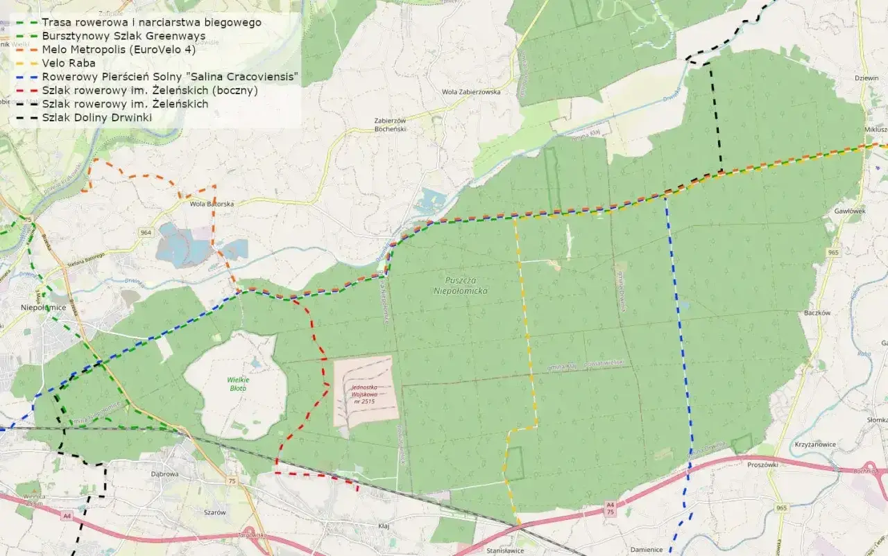 Mapa Puszczy Niepołomickiej z zaznaczonymi trasami rowerowymi, w tym Bursztynowym Szlakiem Greenways.