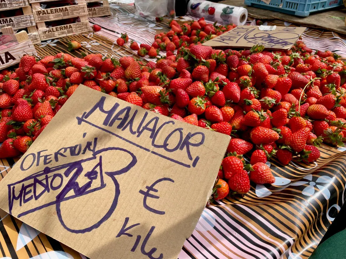 Frische Erdbeeren auf einem Markt in Manacor Altstadt. Ein Schild zeigt "Oferton Medio 3€ Kilo".