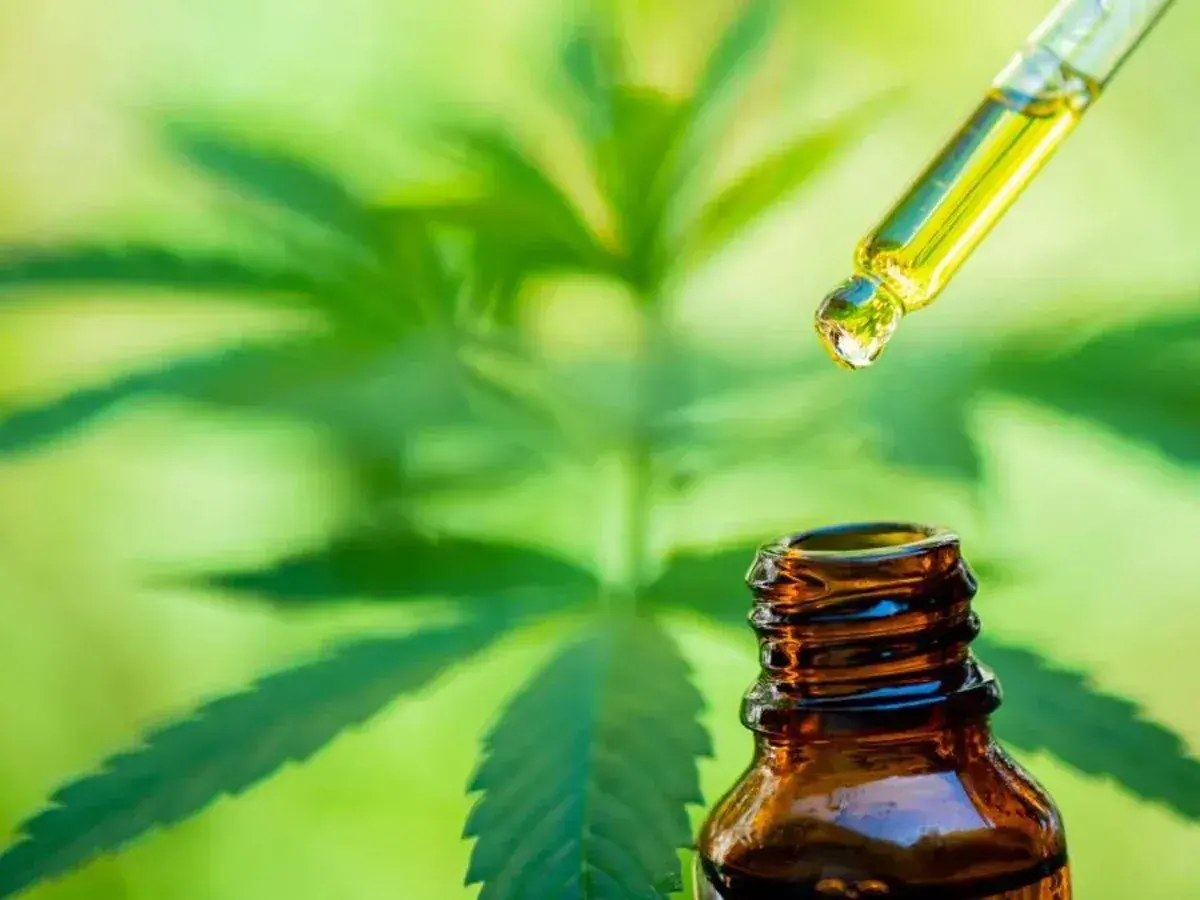 Gota de aceite CBD cayendo de un gotero a una botella ámbar, con hojas de cannabis al fondo. Descubre qué es el CBD.