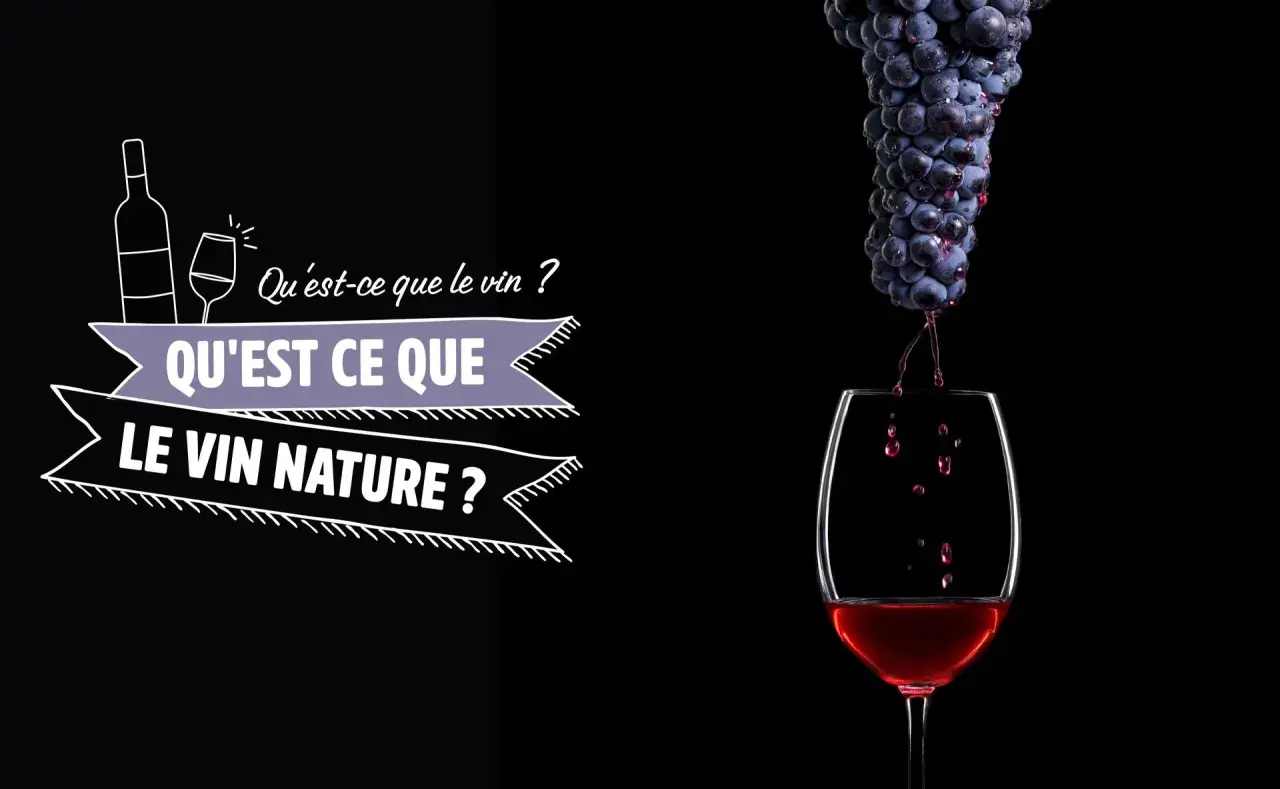 Gouttez le meilleur vin nature ! Des grappes de raisin tombent dans un verre, le vin rouge coule. Le texte "Qu'est-ce que le vin ? Qu'est-ce que le vin nature ?" est affiché.