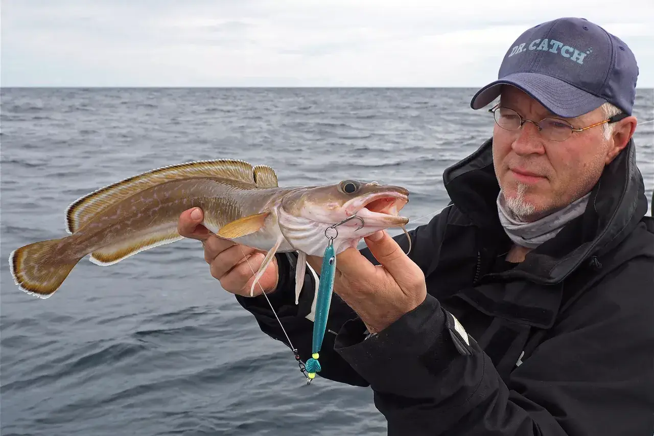 Ein Angler präsentiert stolz einen frisch gefangenen Lengfisch aus Norwegen. Der Fisch hat einen blauen Kunstköder im Maul.