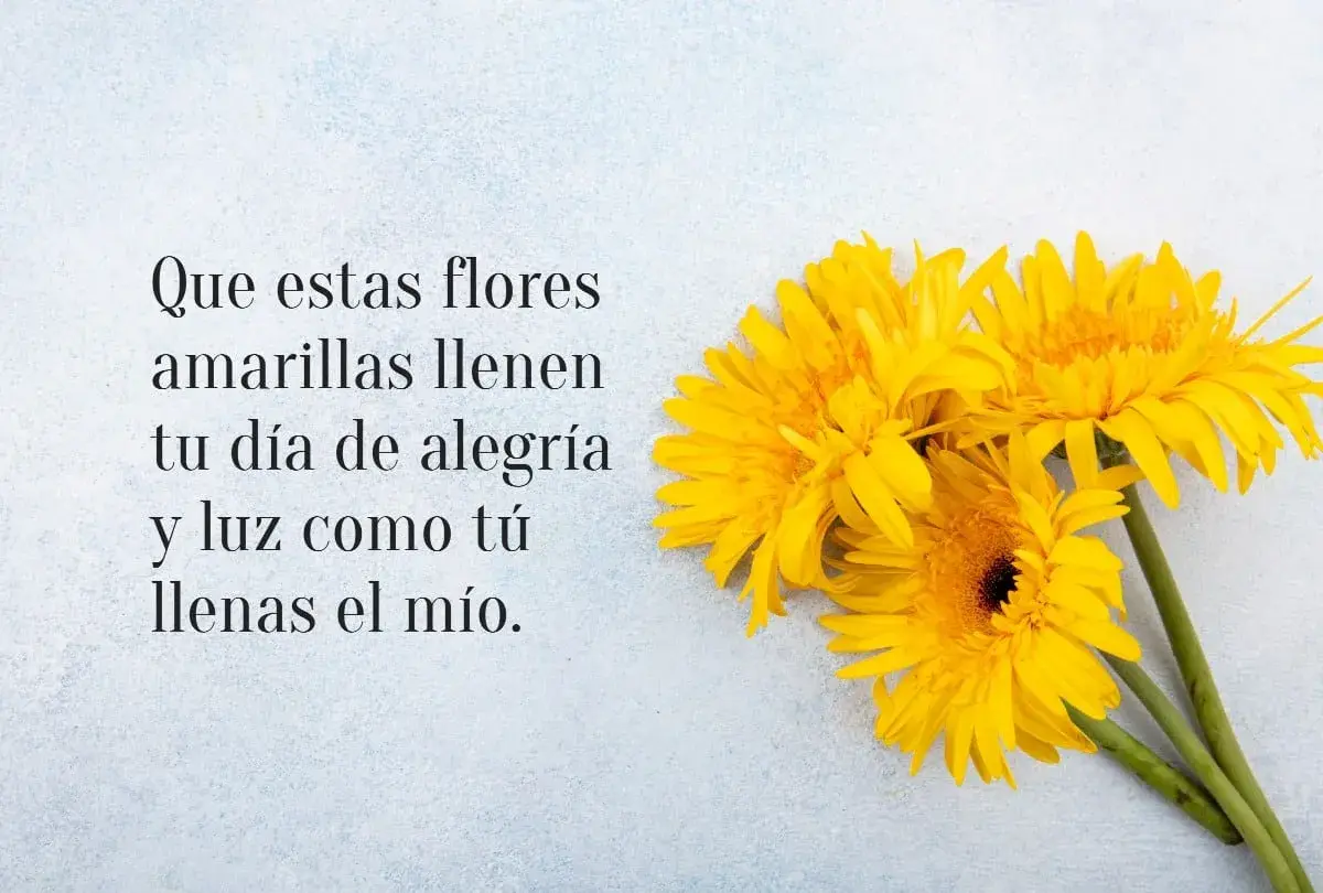 Flores amarillas, como frases sobre la primavera, llenan de alegría y luz.
